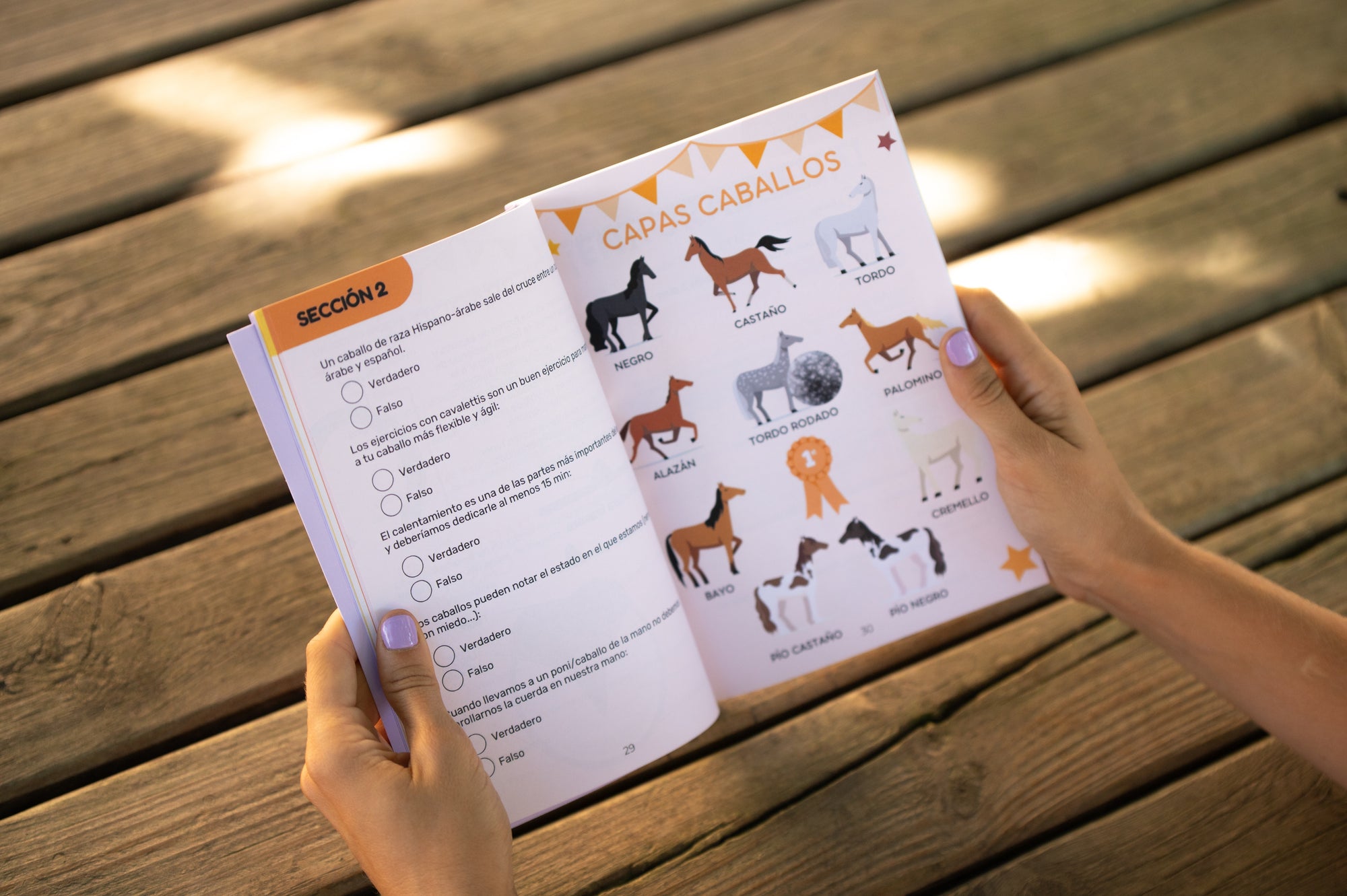 Libro "HELLO RIDERS! A prueba"