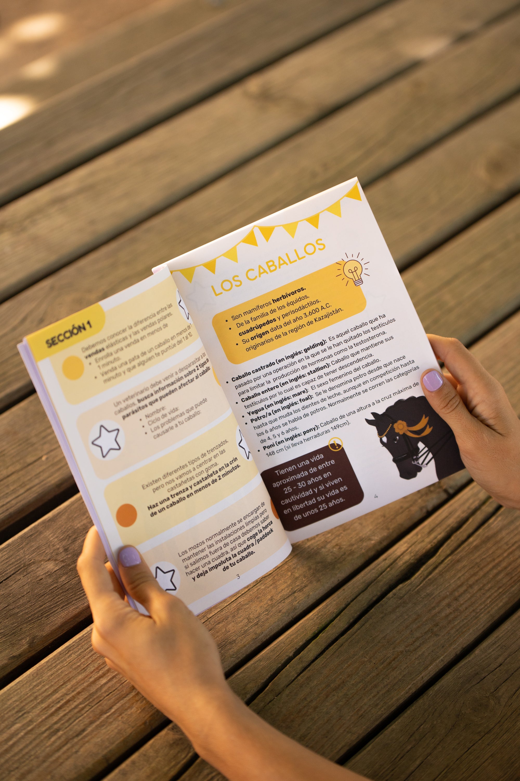 Libro "HELLO RIDERS! A prueba"