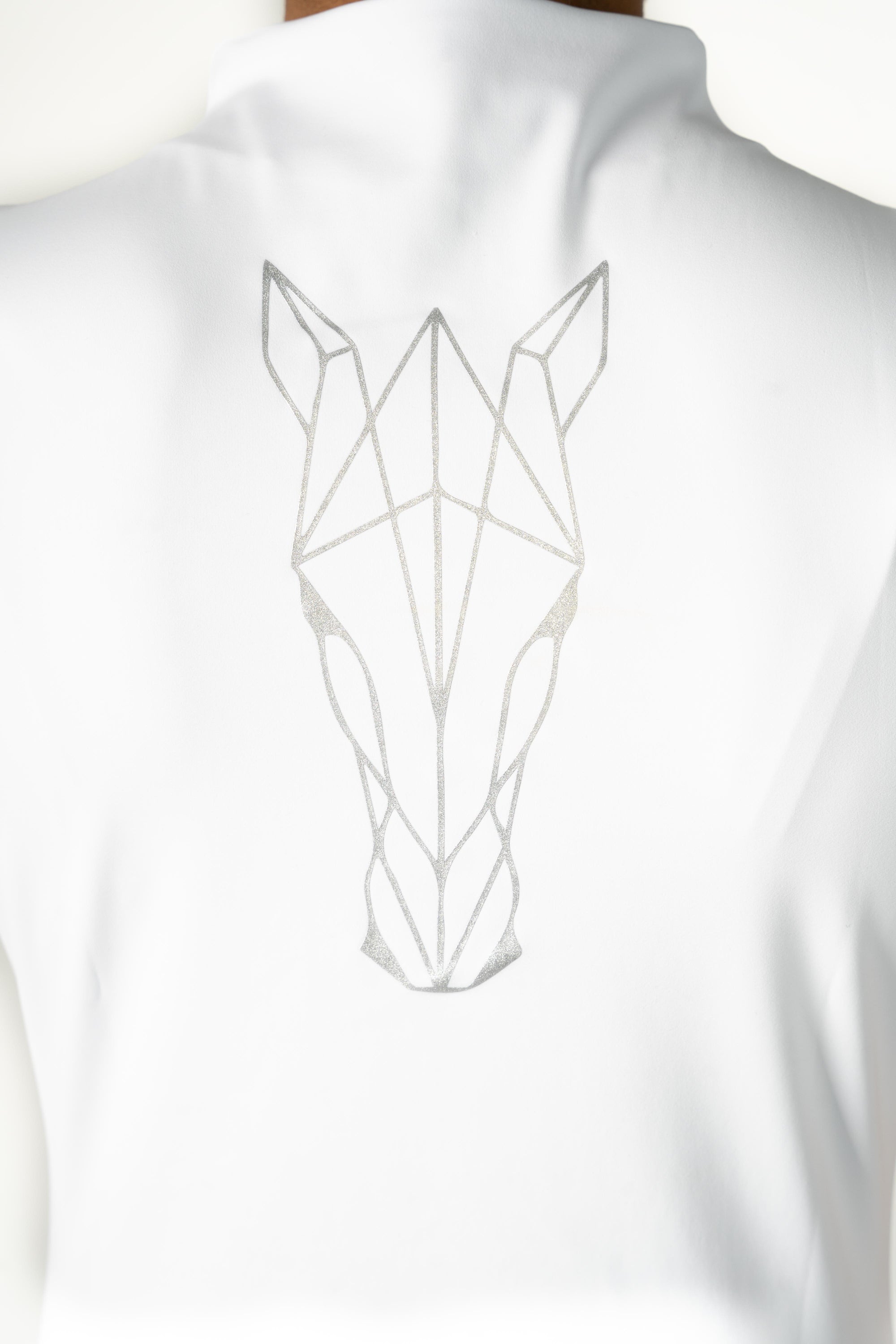 Base Layer CURIOSITY