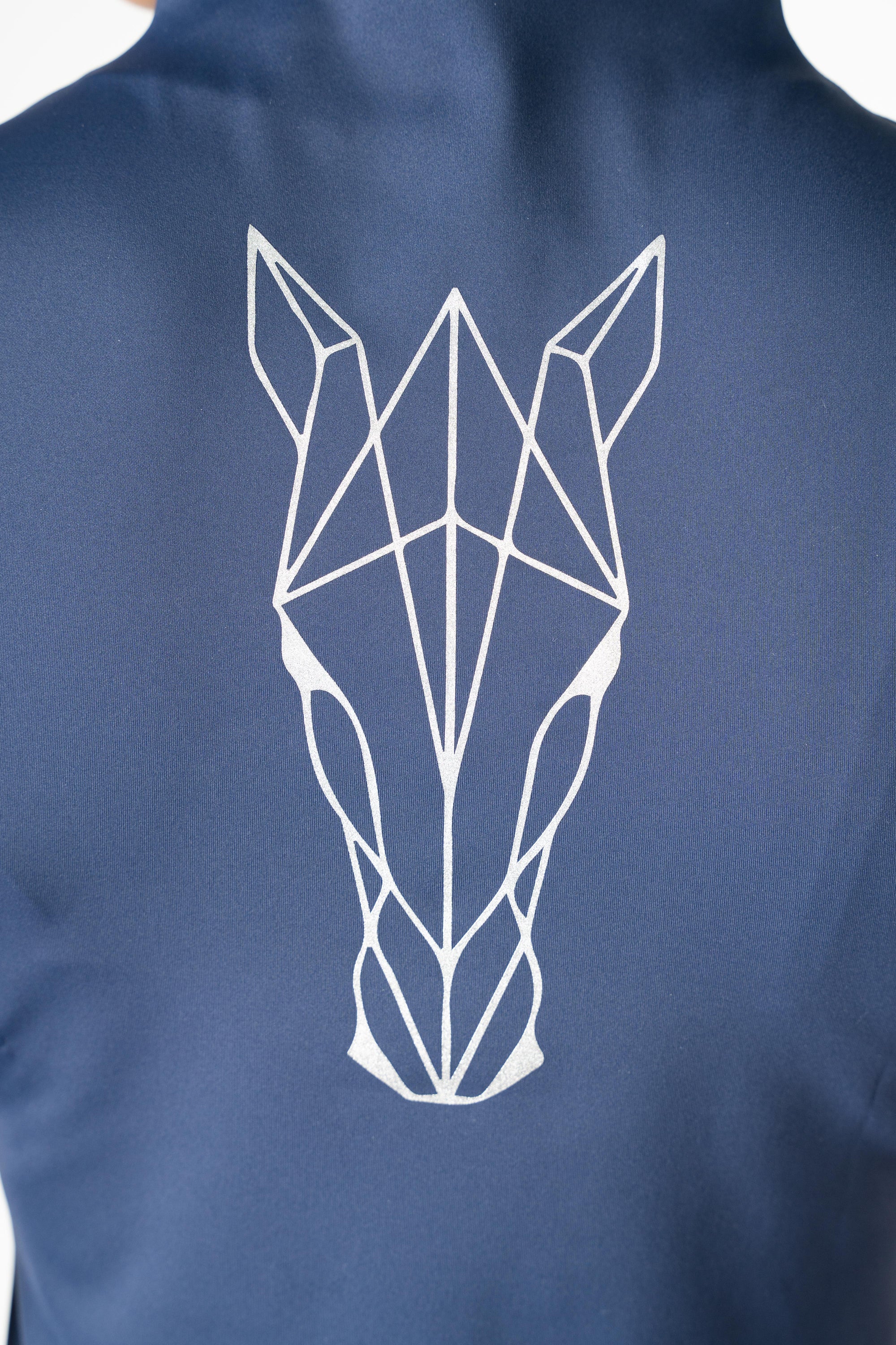 Base Layer CURIOSITY