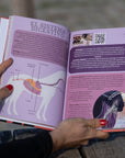 Libro "HELLO RIDERS! Más riders que nunca"