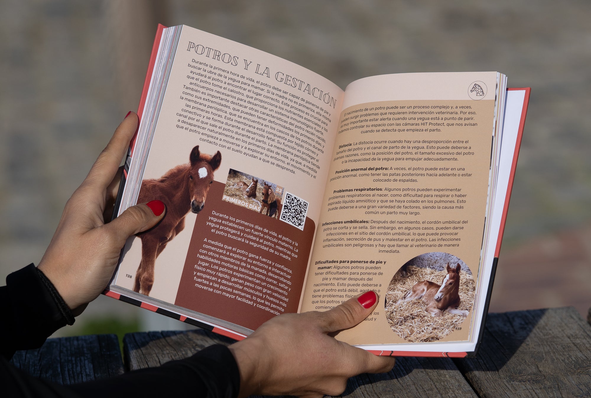 Libro "HELLO RIDERS! Más riders que nunca"