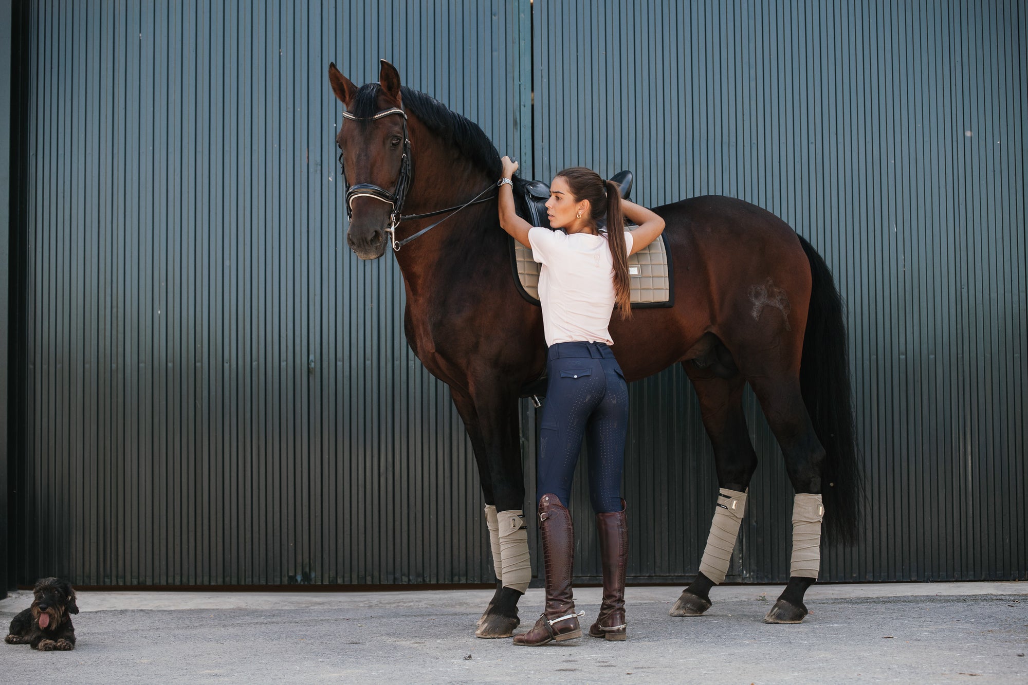 Breeches SORENTO